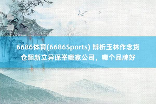 6686体育(6686Sports) 辨析玉林作念货仓翻新立异保举哪家公司，哪个品牌好