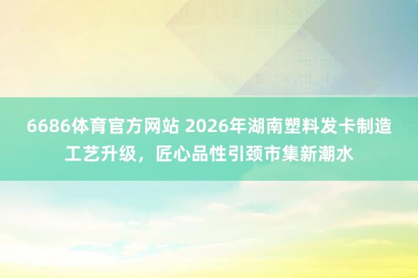 6686体育官方网站 2026年湖南塑料发卡制造工艺升级，匠心品性引颈市集新潮水