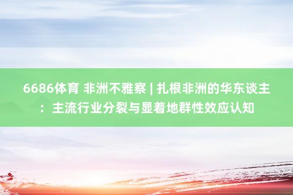 6686体育 非洲不雅察 | 扎根非洲的华东谈主：主流行业分裂与显着地群性效应认知