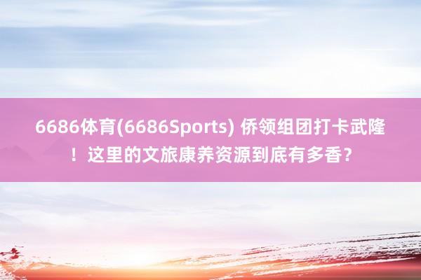 6686体育(6686Sports) 侨领组团打卡武隆！这里的文旅康养资源到底有多香？