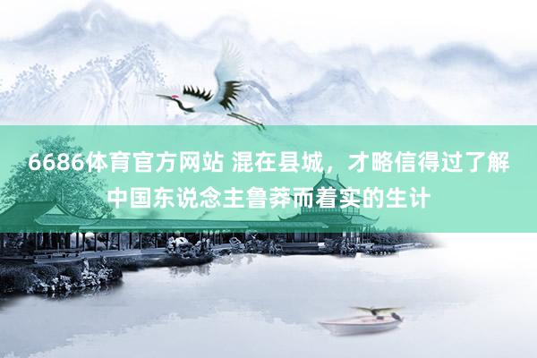 6686体育官方网站 混在县城，才略信得过了解中国东说念主鲁莽而着实的生计