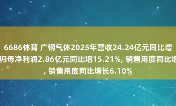 6686体育 广钢气体2025年营收24.24亿元同比增15.26%, 归母净利润2.86亿元同比增15.21%, 销售用度同比增长6.10%