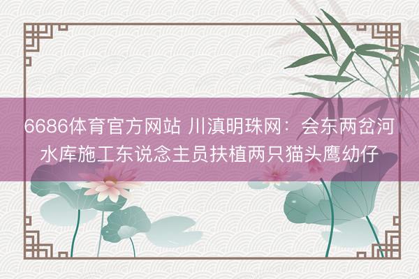 6686体育官方网站 川滇明珠网：会东两岔河水库施工东说念主员扶植两只猫头鹰幼仔